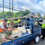 e89e5e54-f9df-48dc-828e-ac5b42f94704